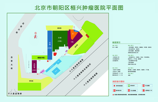 操大骚屄网站北京市朝阳区桓兴肿瘤医院平面图